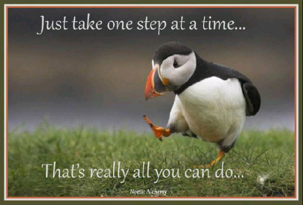 Just One Step After Another!